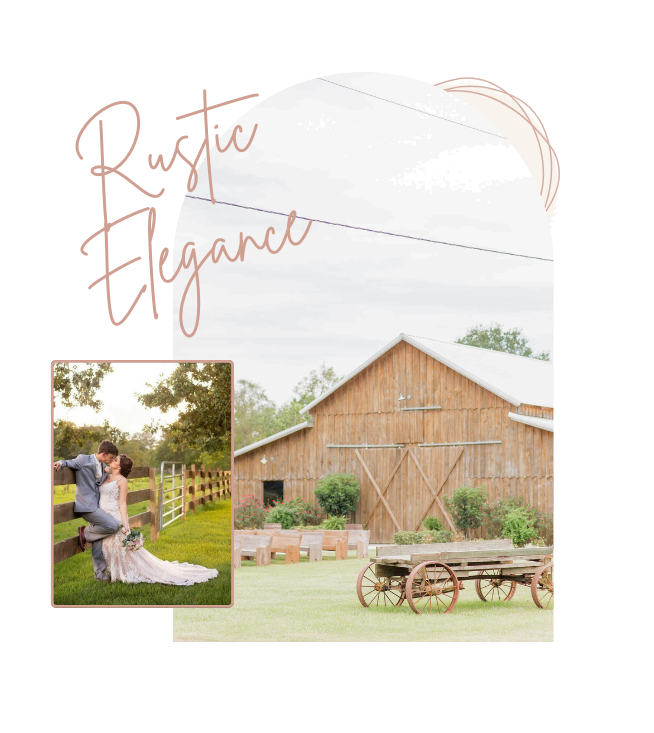 the barn at th farm logo